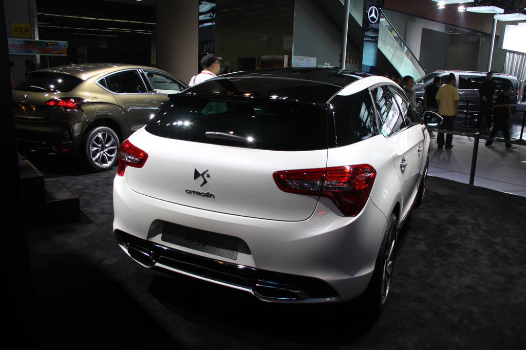 ds5(进口)