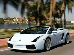 Gallardo