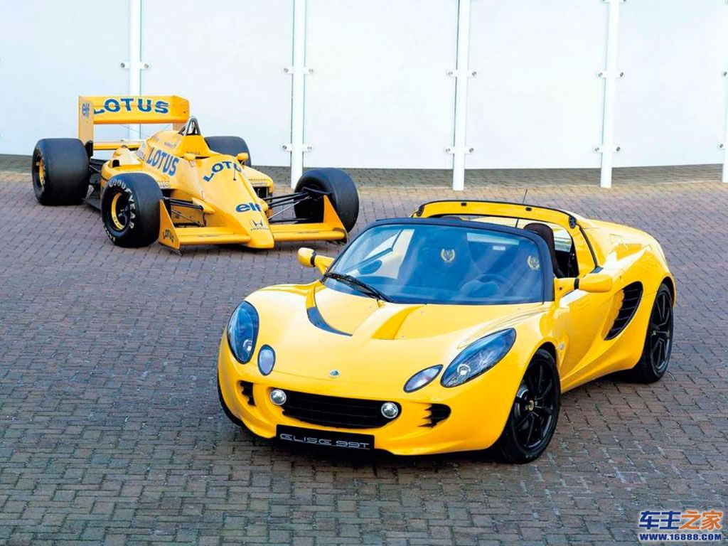 莲花elise高清图片_elise壁纸图片