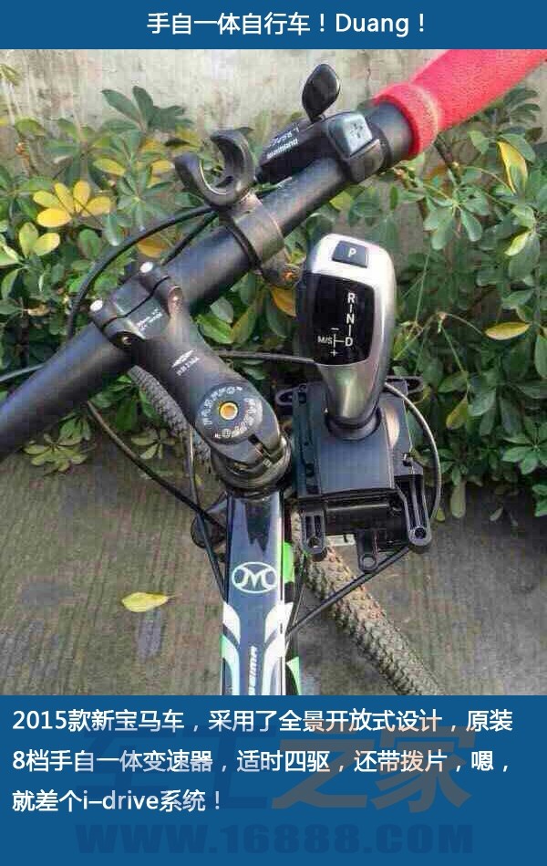 一周车事囧图 法拉利撞树断成两截_生活八卦