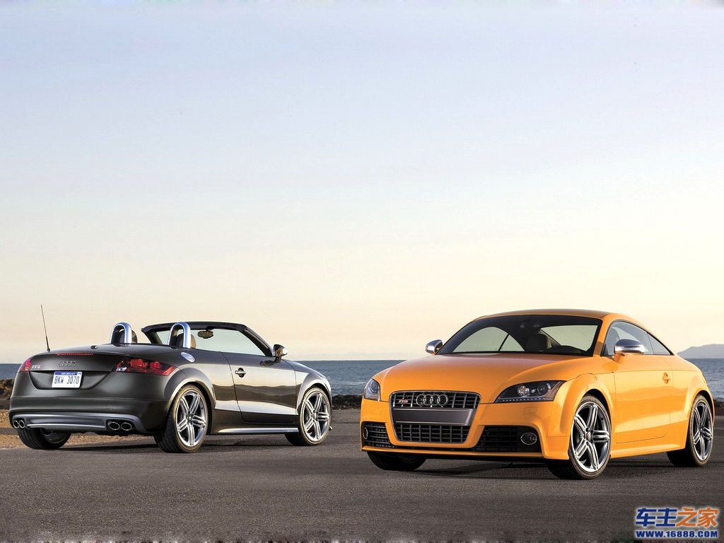 橙色 奥迪tt
